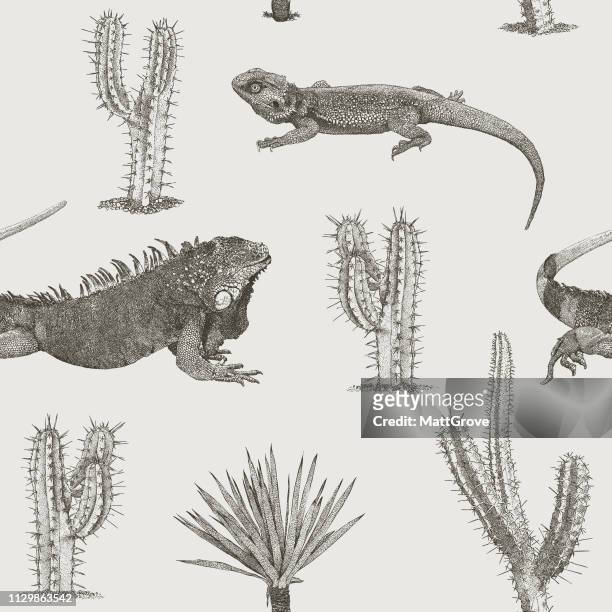 lizards and cactus palms seamless repeat pattern - cactus drawing stock illustrations