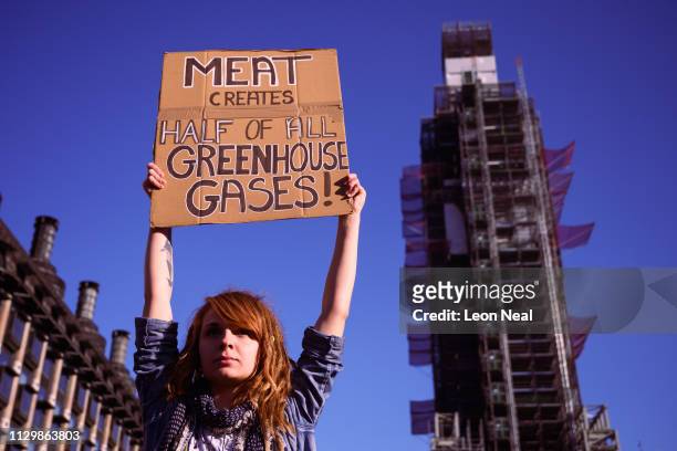 Young woman holds up a placard during a climate protest in Parliament Square on February 15, 2019 in London, United Kingdom. Thousands of UK pupils...
