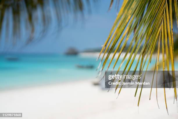 tropical beach - melasti ceremony in indonesia stock pictures, royalty-free photos & images
