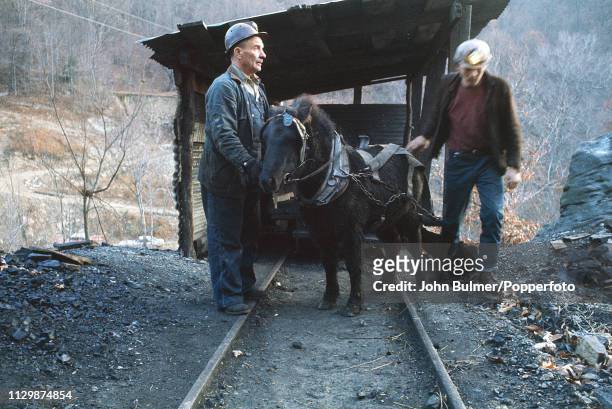 Two miners with a pit pony near a drift mine, Pike County, Kentucky, US, 1967.