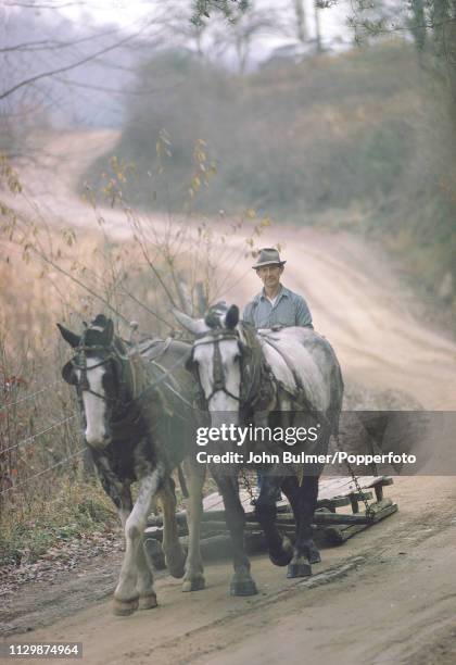 Man driving farm horses on a dirt road, Pike County, Kentucky, US, 1967.