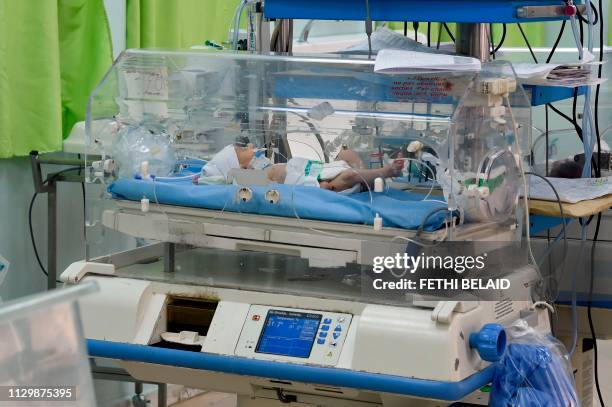 Photo taken March 11 shows babies inside incubators at the maternity ward of the Rabta hospital in Tunis. - A dozen newborn babies whose deaths at a...