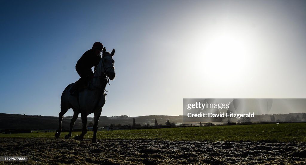 Cheltenham Racing Festival - Previews