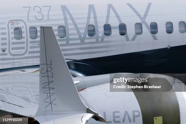 Airplane is pictured on he tarmac with its signature winglet and fuel efficient engines outside the company's factory on March 11, 2019 in Renton,...