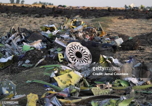 Parts of the landing gear lay in a pile after being gathered by workers during the continuing recovery efforts at the crash site of Ethiopian...