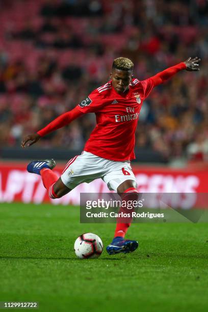 Florentino Luis of SL Benfica in action during the Liga NOS match between SL Benfica and Belenenses at Estadio da Luz on March 11, 2019 in Lisbon,...