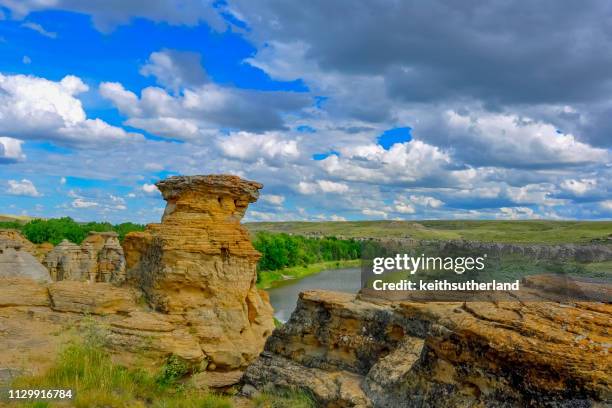 hoodoos in badlands national park, alberta, canada - alberta badlands stock pictures, royalty-free photos & images