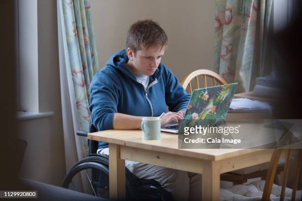 Focused young woman in wheelchair using laptop at dining table