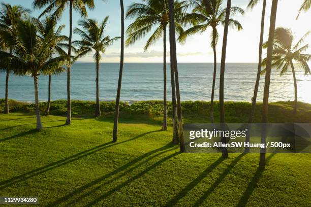 days of kihei - allen sw huang stock pictures, royalty-free photos & images