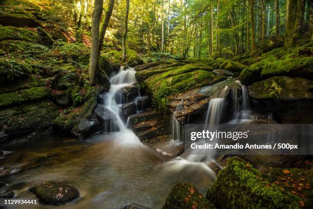 la vallée des darots - auvergne stock pictures, royalty-free photos & images