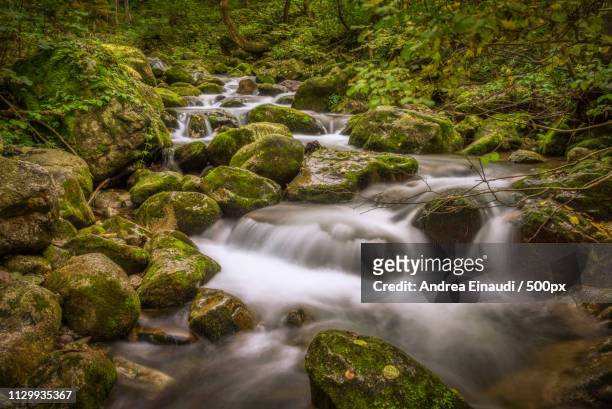 gentle stream in valle pesio - ruscello stock pictures, royalty-free photos & images