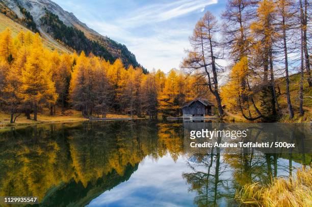 surrounded by the autumn - gmunden austria stock pictures, royalty-free photos & images