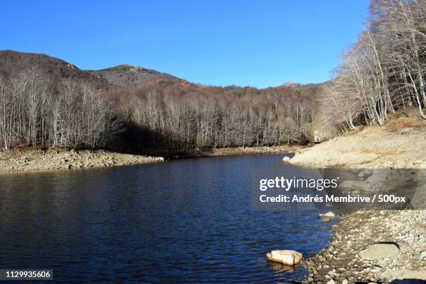 pantanos y rios - embalses stock pictures, royalty-free photos & images