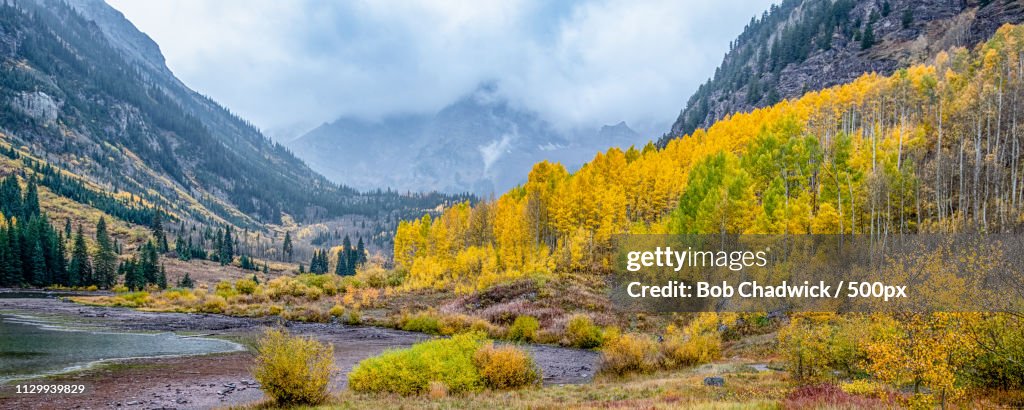 Forest in valley in autumn