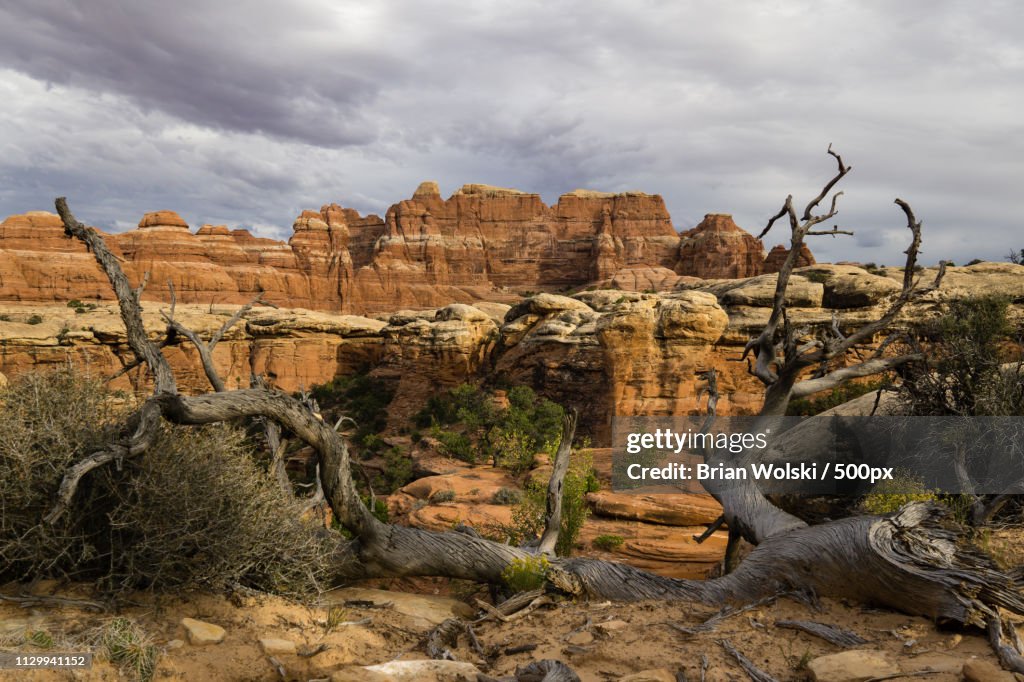 Canyonlands Needles