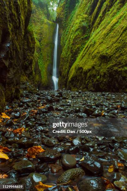 early morning oneonta falls - oneonta falls stock pictures, royalty-free photos & images