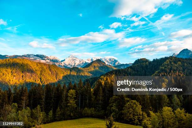 scenic view of forest and mountains - dominik konjedic stock pictures, royalty-free photos & images