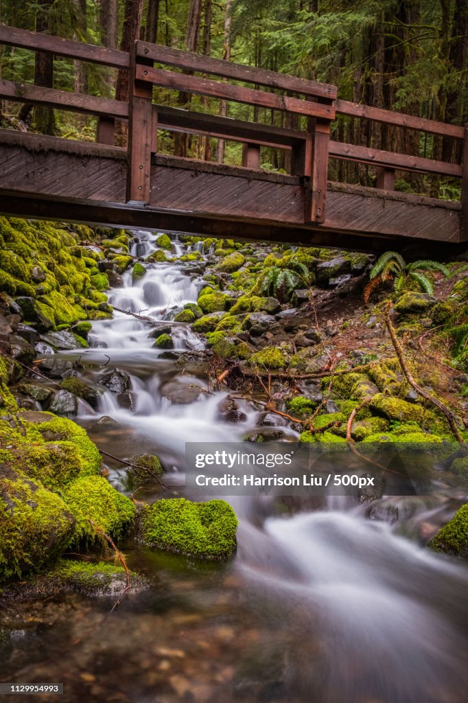 A Bridge On The Way To Sol Duc Falls