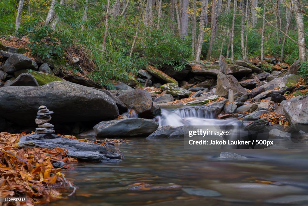 A Picture In Autumn: Pure Nature, With A Little Touch Of Human Devotion