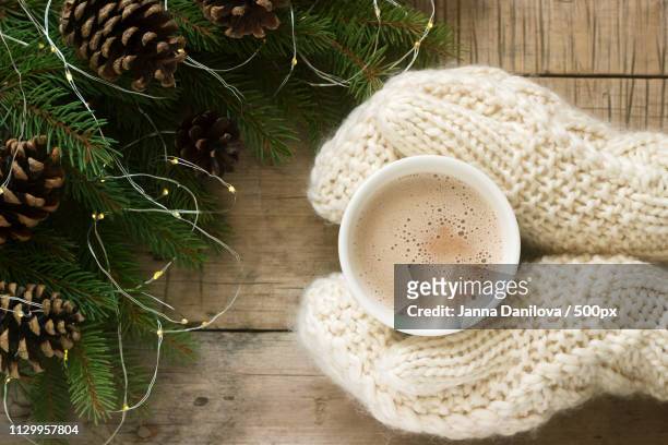 women's hands in mittens hug a cup of cocoa on the background of fir branches with pine cones and - woman hands in mittens stock-fotos und bilder