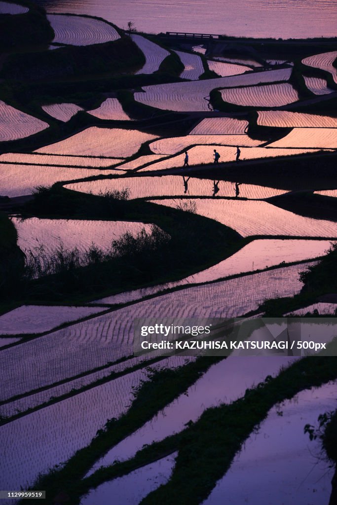 On The Way Back Home