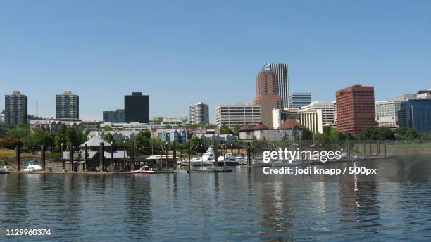 willamette river portland, or - willamette valley stock pictures, royalty-free photos & images