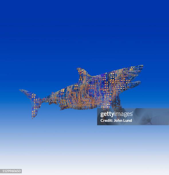 computer circuitry network shark - fish crackers stock pictures, royalty-free photos & images