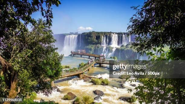 cachoeiras de foz do iguaçu - washington state v oregon stock pictures, royalty-free photos & images