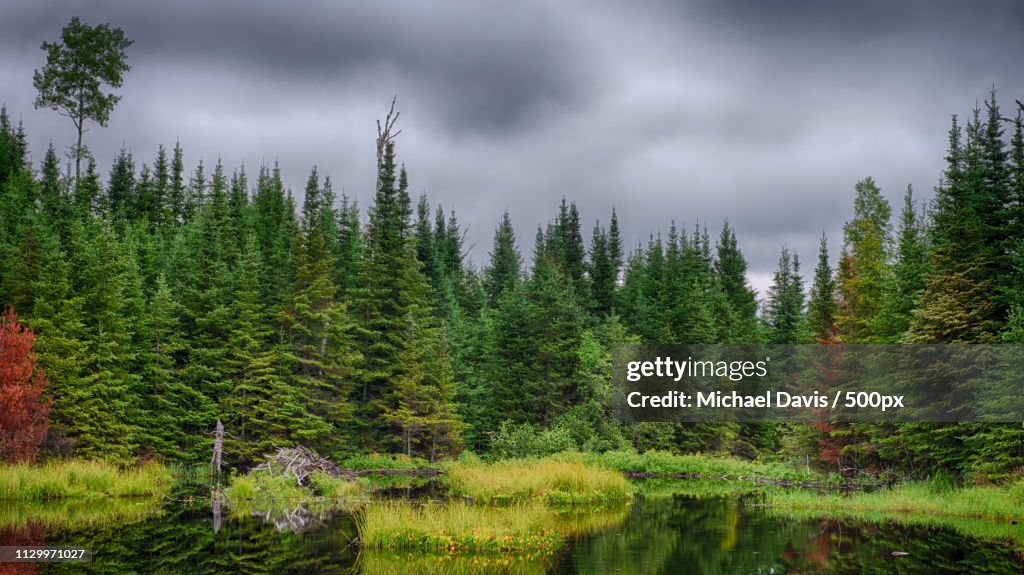 Boundary Waters Reflections