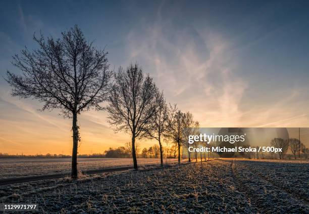 december morning - weitwinkel - fotografias e filmes do acervo