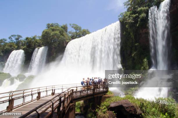 iguazu waterfall at iguazú national park - iguazu falls stock pictures, royalty-free photos & images