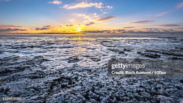 The River Roch 40 River Roch Stock Photos, High-Res Pictures, and Images - Getty Images
