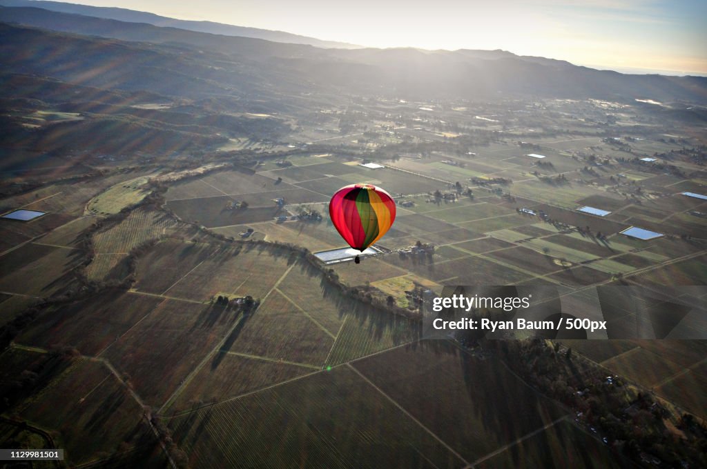 Balloon Over Napa Valley, Ca At Dawn