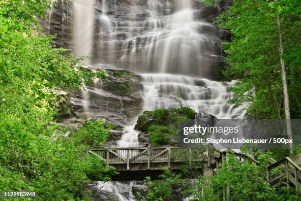 amicalola falls and bridge - amicalola falls state park stock pictures, royalty-free photos & images