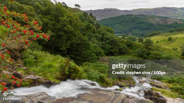 Mount Sims Mount Sims Photos and Premium High Res Pictures - Getty Images