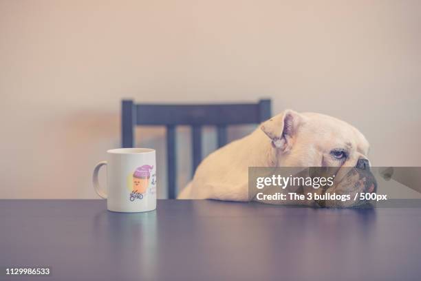 waiting for my food - hambriento stock pictures, royalty-free photos & images