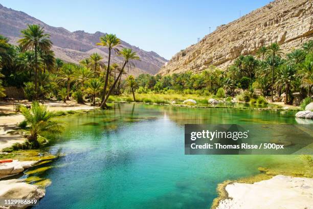 a lake in wadi bani khalid - oman stockfoto's en -beelden