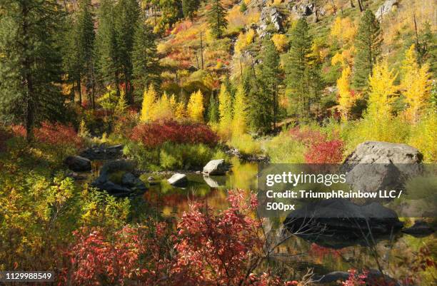 autumn near tumwater canyon dam, wa - tumwater stock pictures, royalty-free photos & images