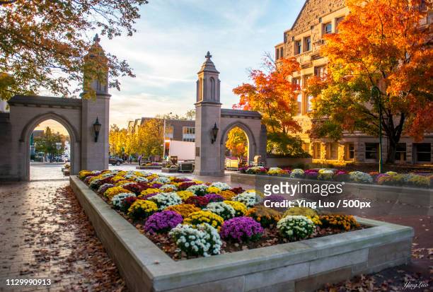 love my school, especially in fall - indiana university of bloomington - bloomington indiana stock pictures, royalty-free photos & images