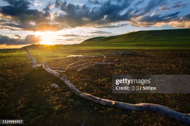 scenic landscape at sunset - 王 stock pictures, royalty-free photos & images
