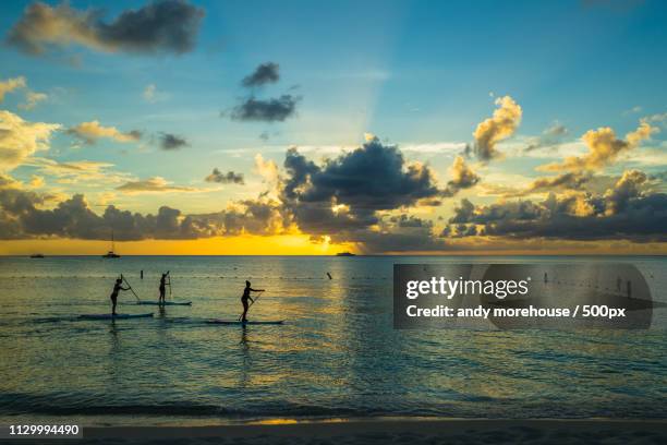 evening paddle - cayman islands stock pictures, royalty-free photos & images