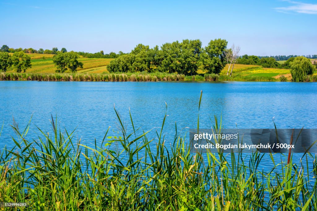 Photo Of Nature Around Beautiful Blue Lake