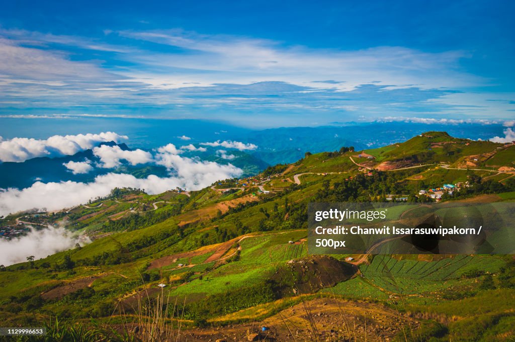 Beautiful Romantic Road Nature And Landscape In National Park Name Phu-Thap Boek, Thailand