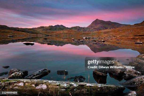 llyn cwmffynnon in autumn - goch stock pictures, royalty-free photos & images