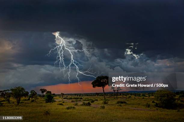 lightning - africa sunset stock pictures, royalty-free photos & images