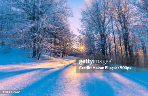 Winter Winter