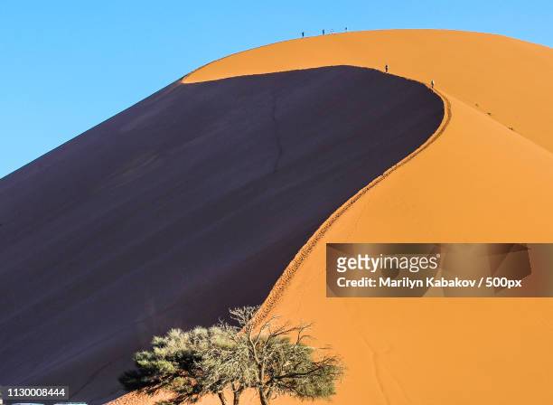 big daddy sand dune, sossusvlei africa - marilyn kabakov imagens e fotografias de stock