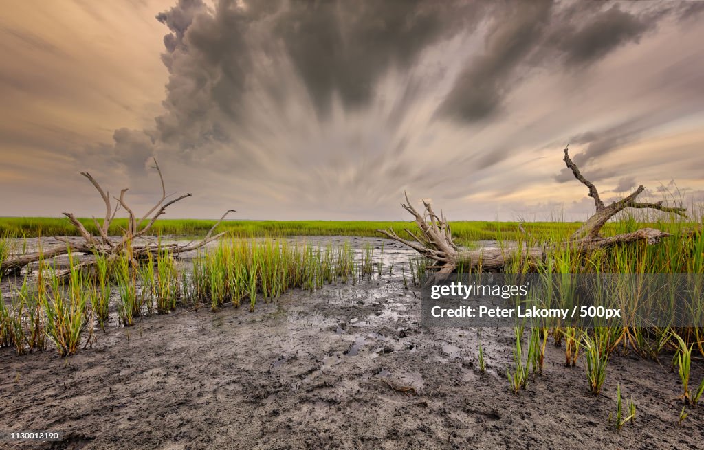 Seascape Of Hilton Head Island