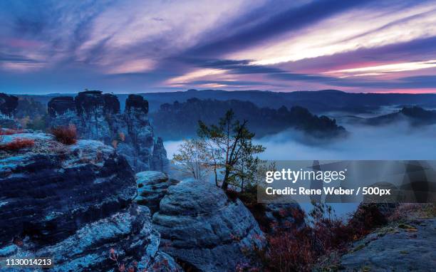 blue morning ii - saxony stock-fotos und bilder