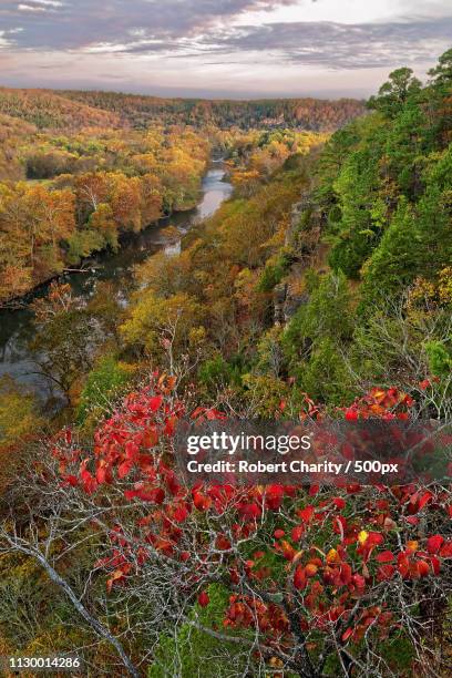 slabtown bluffs - national forest stock pictures, royalty-free photos & images